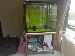 (Category: ) located in . Submitted by cannedmackerel (Listing ID 1057337366, Image 1). Description: .