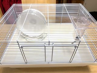 （分類：）位於 。 由 hayleyss___ 提交（商品編號 1057477808，圖片 1）。簡介： 。