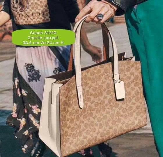 Coach on sale carryall charlie