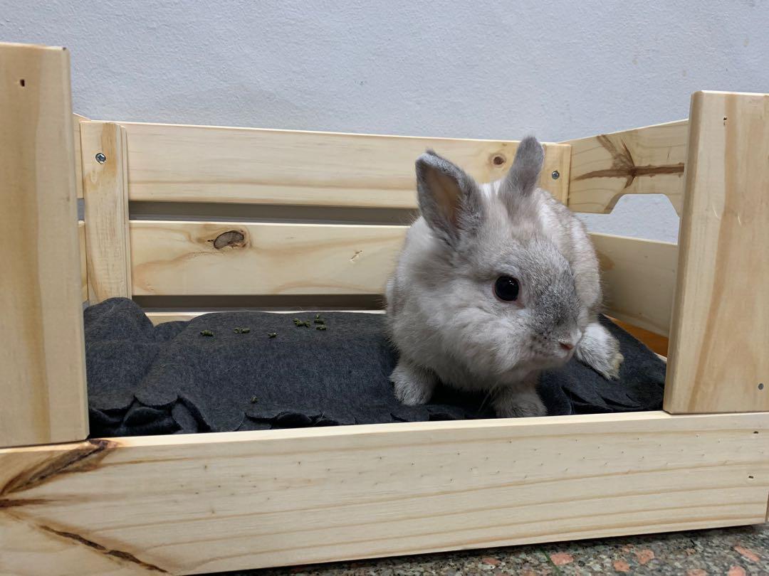 DIY BED CRATE for small animals