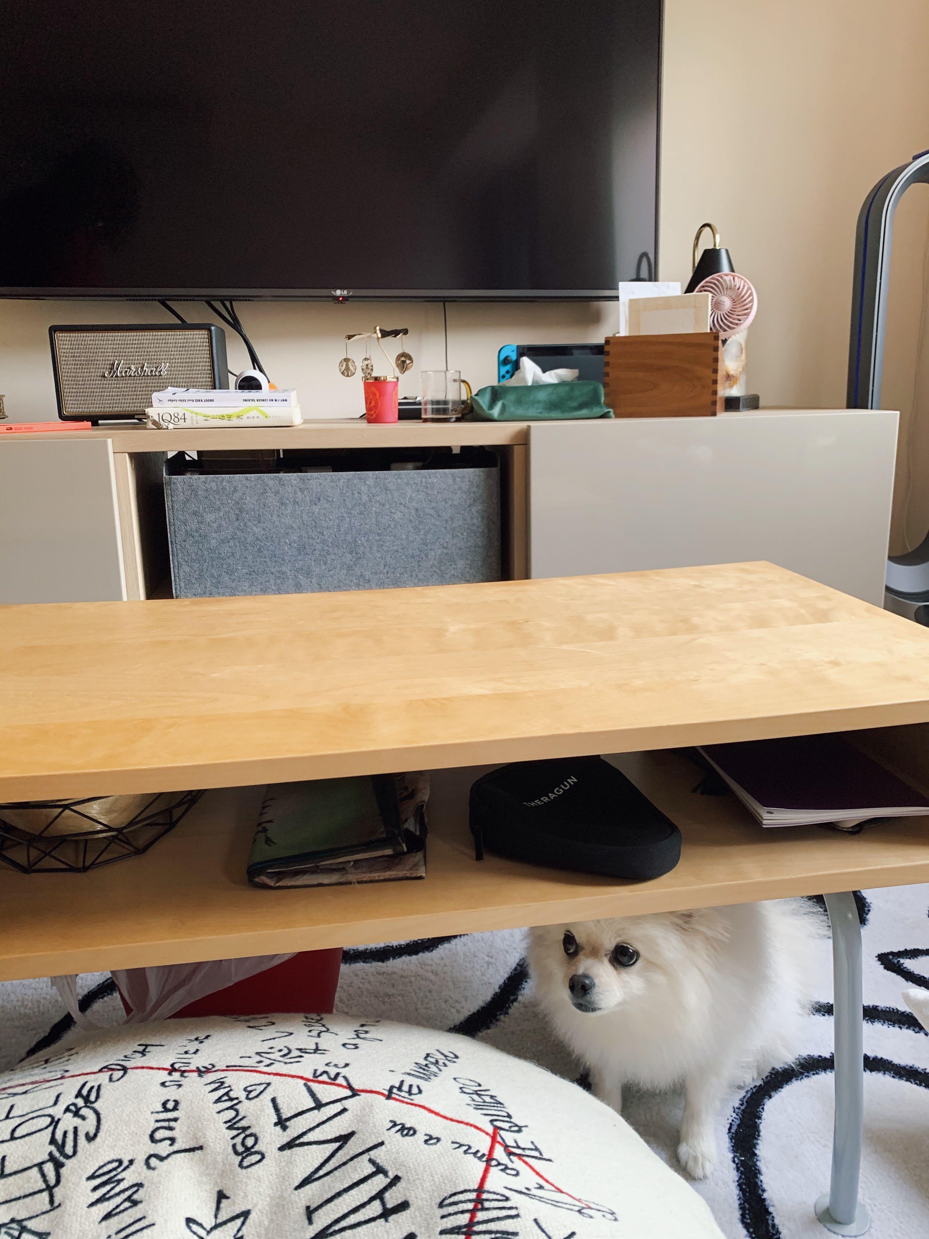 Ikea ps shop 1995 coffee table