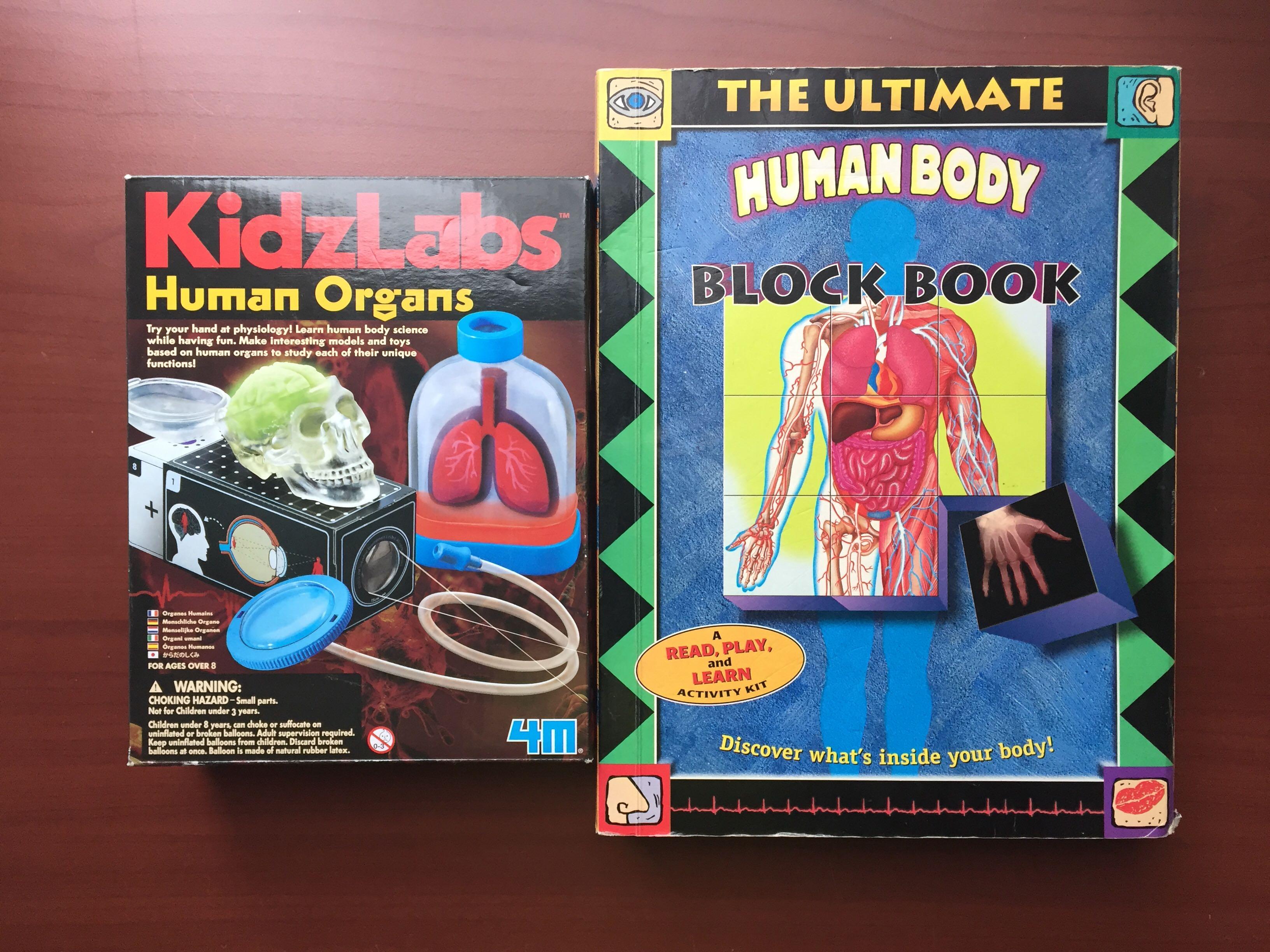 Kidz labs human organs deals
