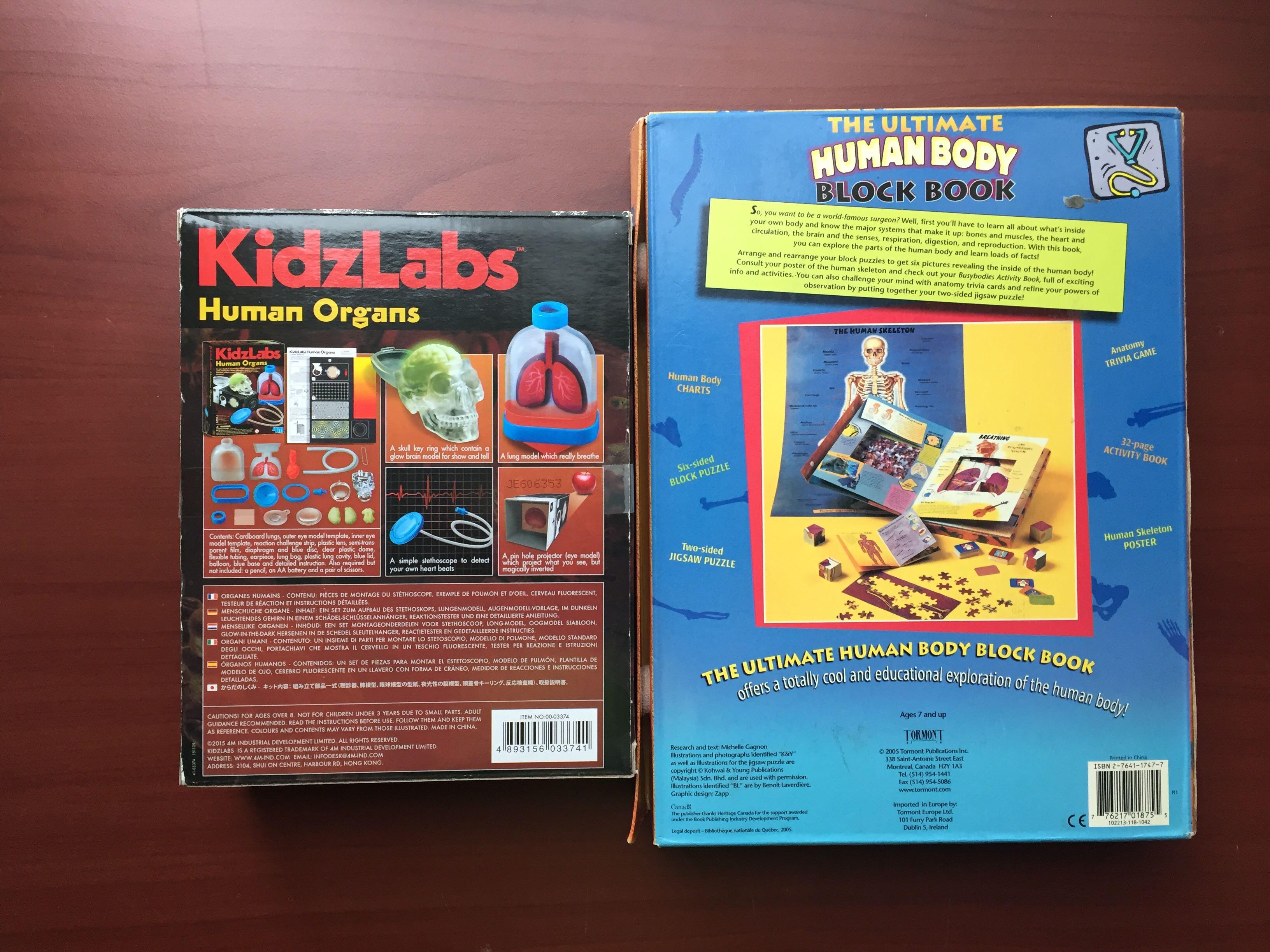 Kidz labs cheap human organs