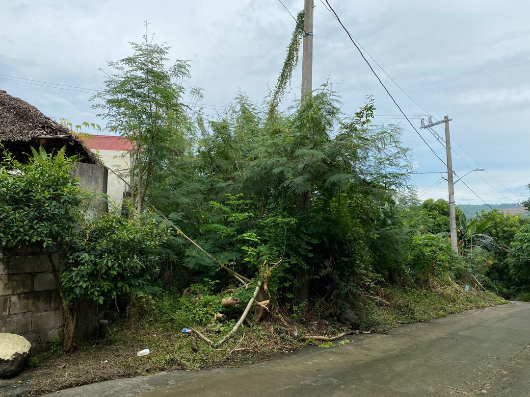 Lot for Sale Ascension Hills Subd., Angono Rizal, Property, For Sale