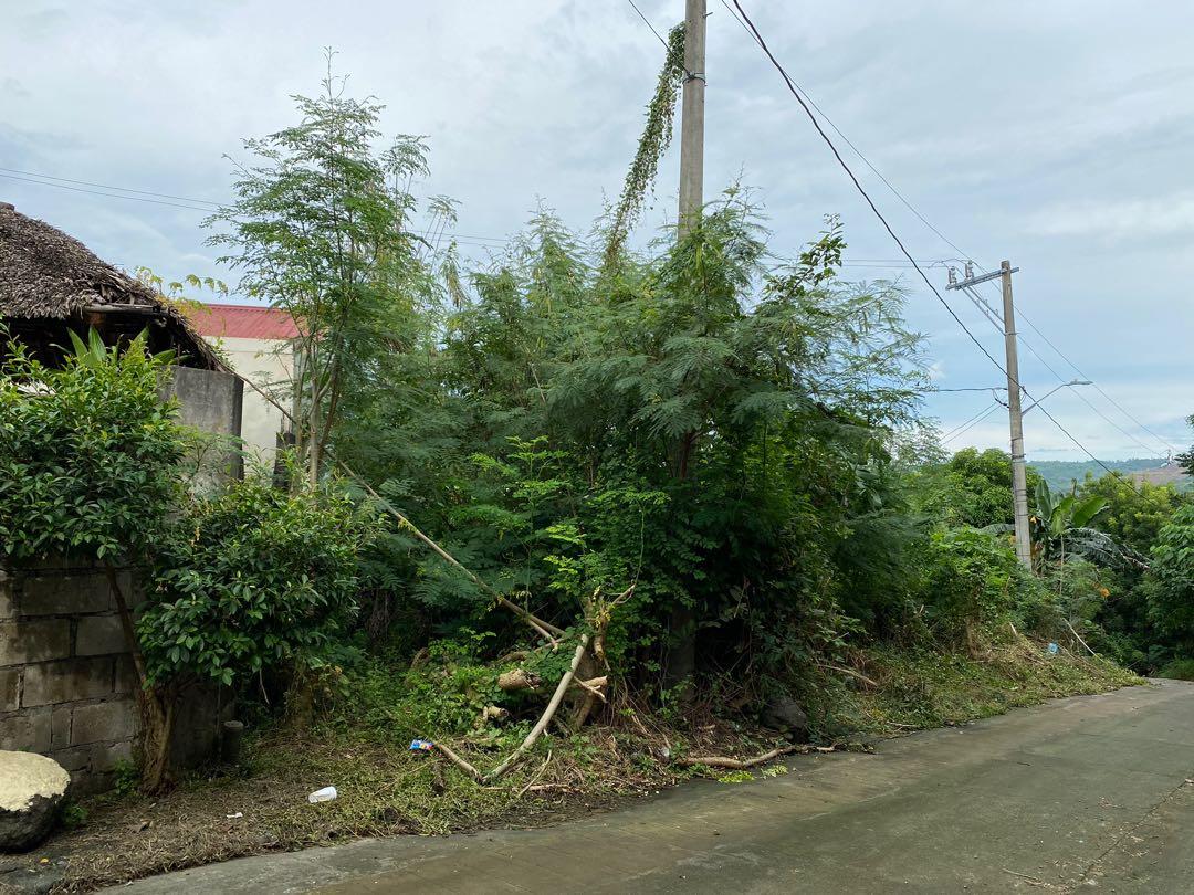 Lot for Sale Ascension Hills Subd., Angono Rizal, Property, For Sale