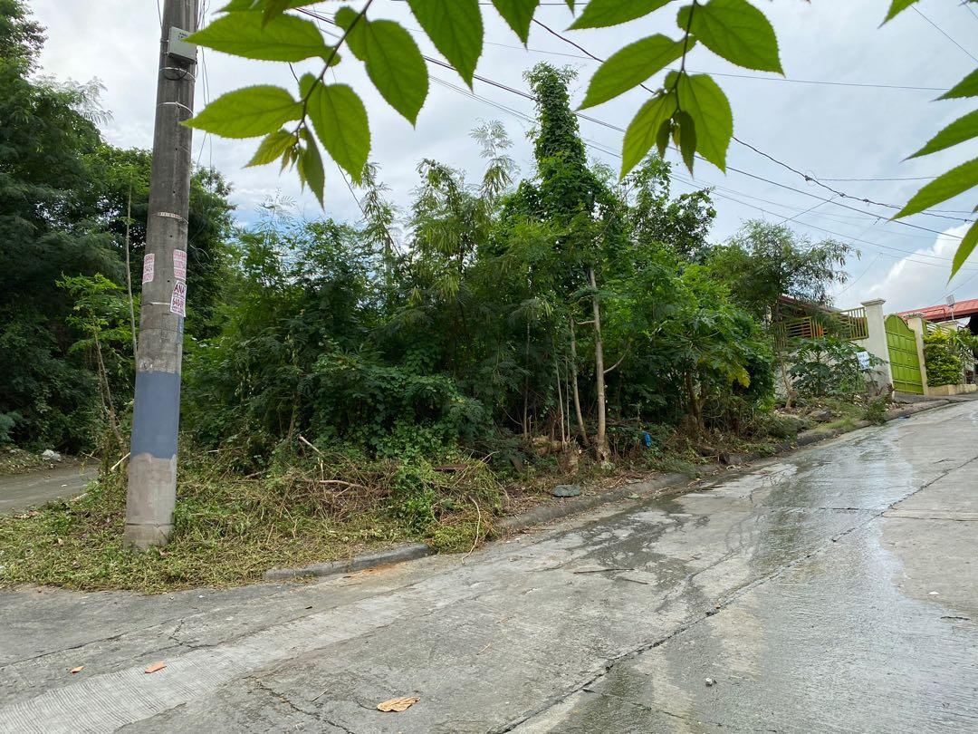 Lot for Sale Ascension Hills Subd., Angono Rizal, Property, For Sale