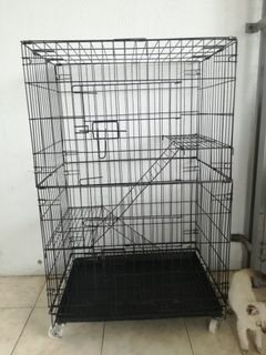 (Category: ) located in . Submitted by pupaz (Listing ID 1057386781, Image 1). Description: .