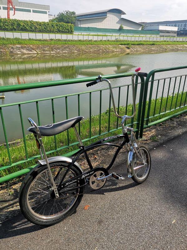 2007 schwinn stingray top