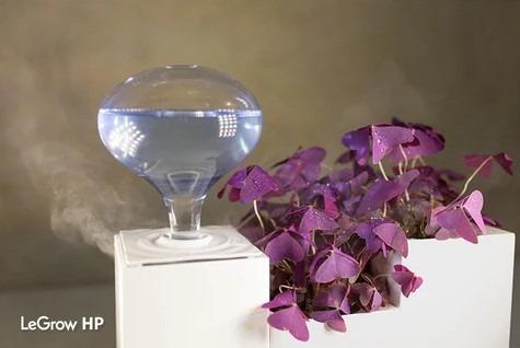 Smart Pot with Air purifier & charging 4 devices at a time.