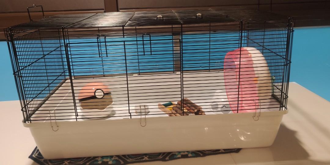 used hamster supplies