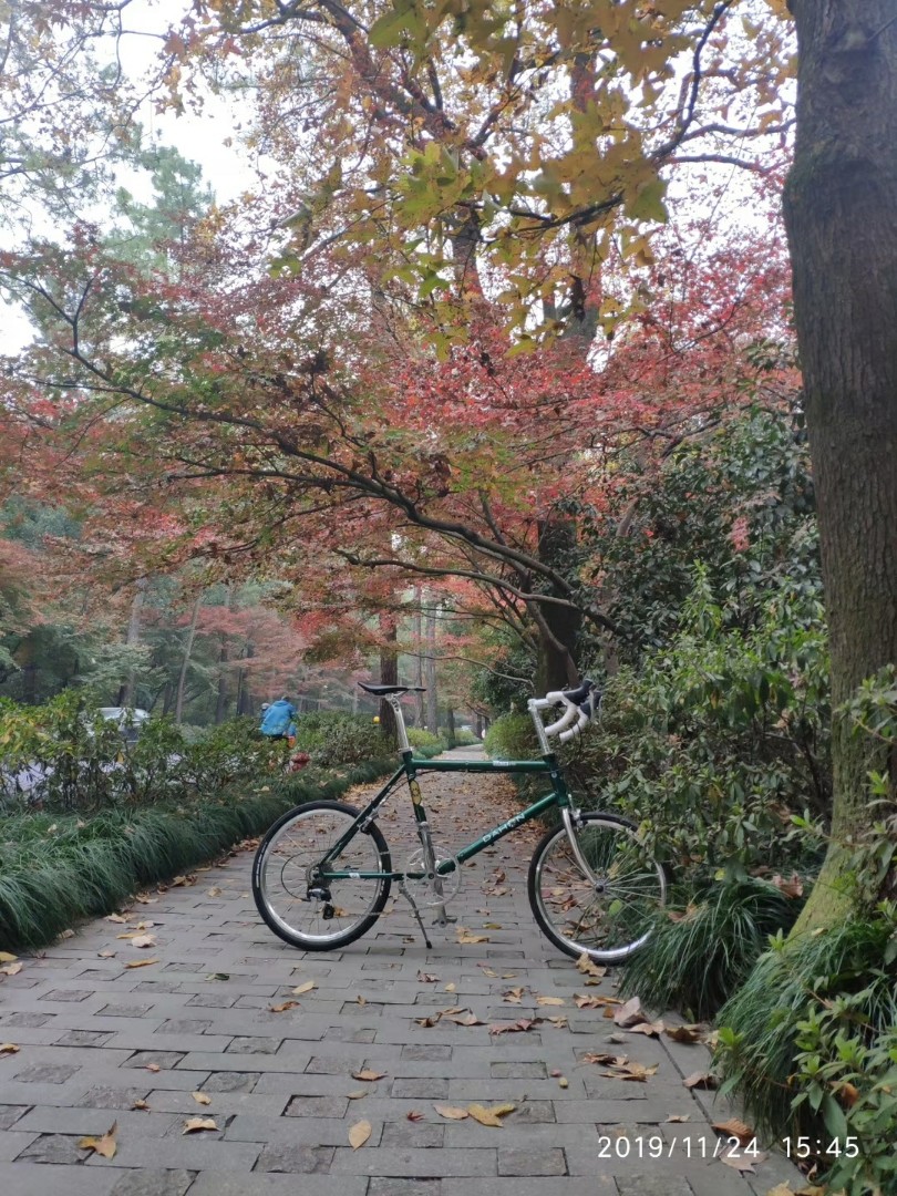 dahon dash d20