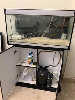 (Category: ) located in . Submitted by luzvi.fernandez (Listing ID 1057555450, Image 1). Description: .