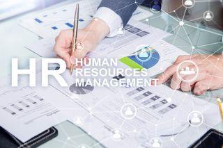 Human Resources Consultant HR Consultancy Services HR Manager