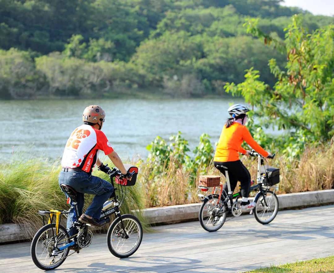 learn to cycle adults