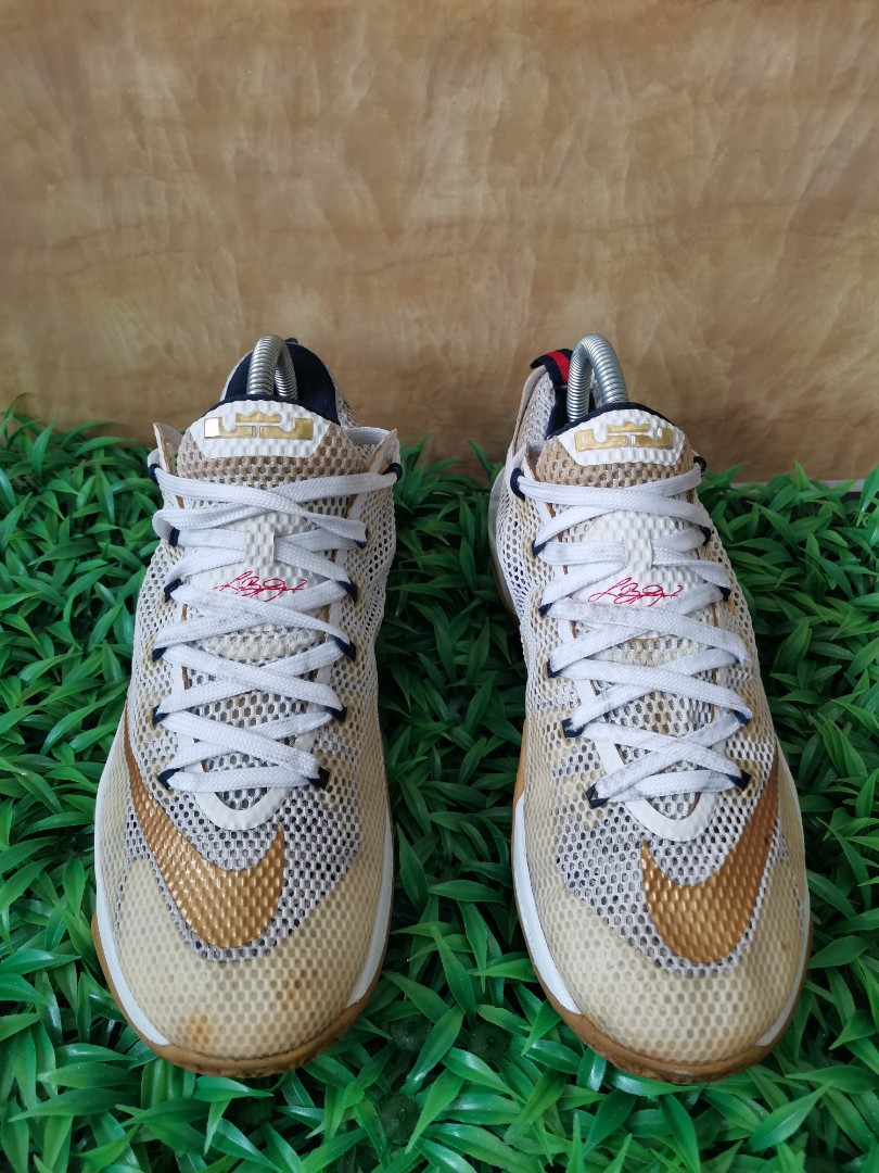Lebron james 12 low top
