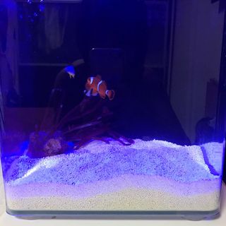 (Category: ) located in . Submitted by findnemo (Listing ID 1057650942, Image 1). Description: .