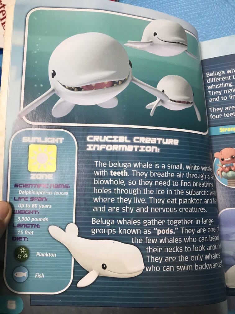Octonauts Creature Report, 興趣及遊戲, 書本 &amp; 文具, 小朋友書 - Carousell