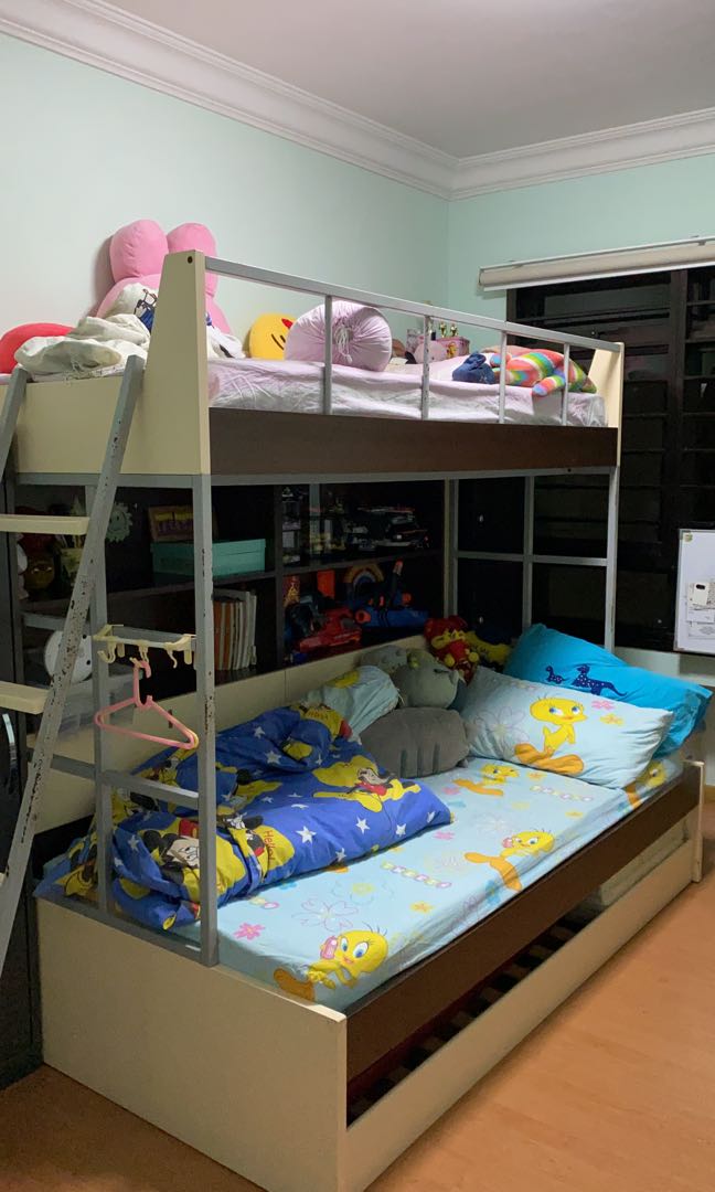 Star furniture 2024 bunk beds