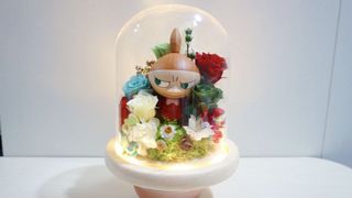 （分類：）位於 。 由 tsianggg 提交（商品編號 1057727211，圖片 1）。簡介： 。
