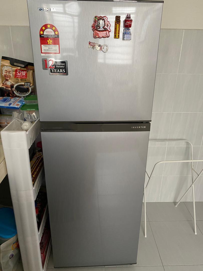 Toshiba 2 Door Fridge GR A28MS S 252L