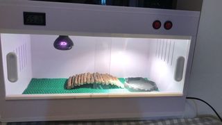 （分類：）位於 。 由 k_knc 提交（商品編號 1057948565，圖片 1）。簡介： 。