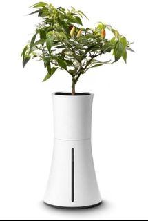 Botanium- Self watering hydroponic pot