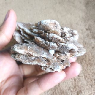 (Category: ) located in . Submitted by amihan.declutters (Listing ID 1057847746, Image 1). Description: .