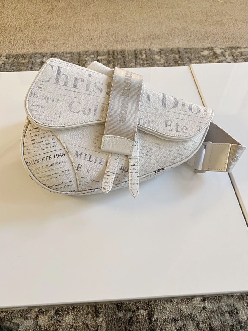 dior daniel arsham bag
