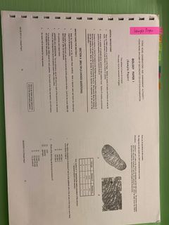 （分類：）位於 。 由 einnnnniw 提交（商品編號 1057922137，圖片 1）。簡介： 。