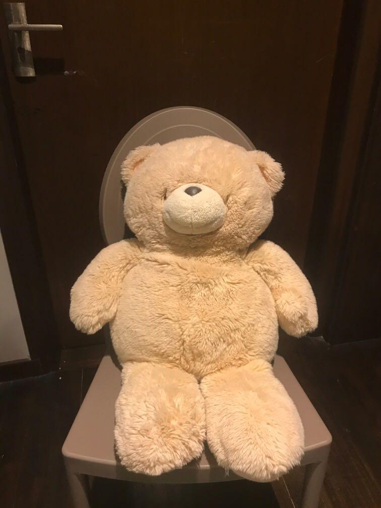 medium size teddy bear