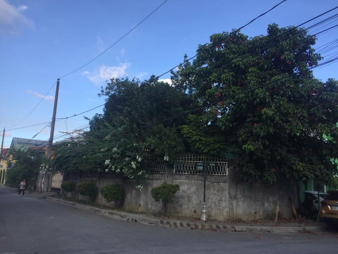 Cainta Greenland corner lot for sale, Property, For Sale, House & Lot