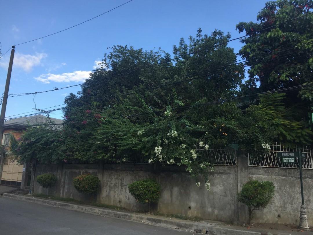 Cainta Greenland corner lot for sale, Property, For Sale, House & Lot