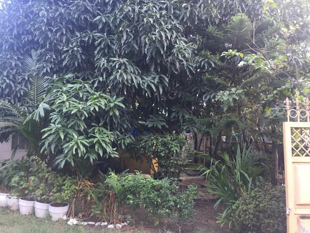 Cainta Greenland corner lot for sale, Property, For Sale, House & Lot