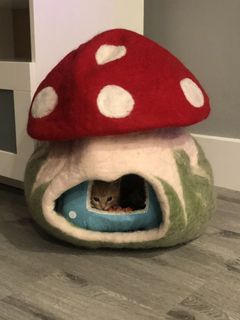 (Category: ) located in . Submitted by beccathomas (Listing ID 1058047363, Image 1). Description: .