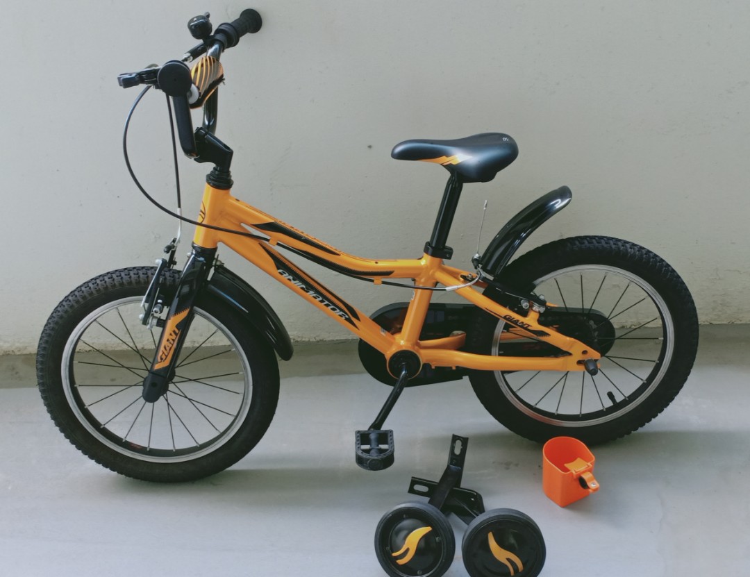 Kids Bicycle Giant Animator 16 2019 Sports Equipment Bicycles