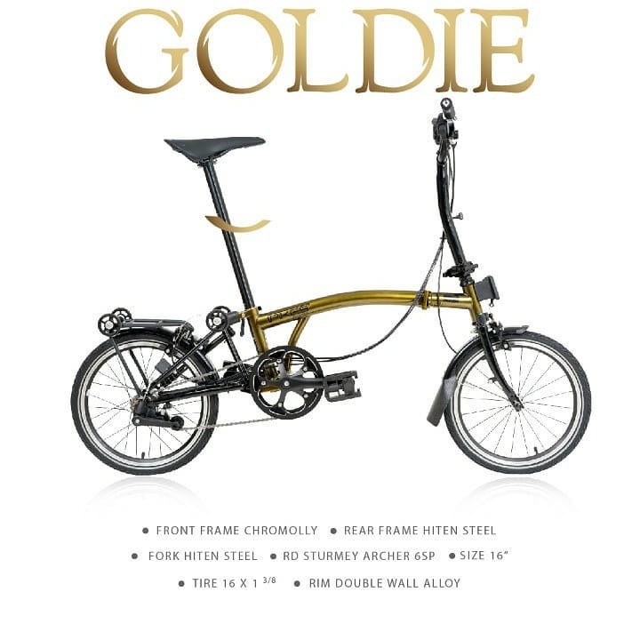 Goldie 2025 cycles online
