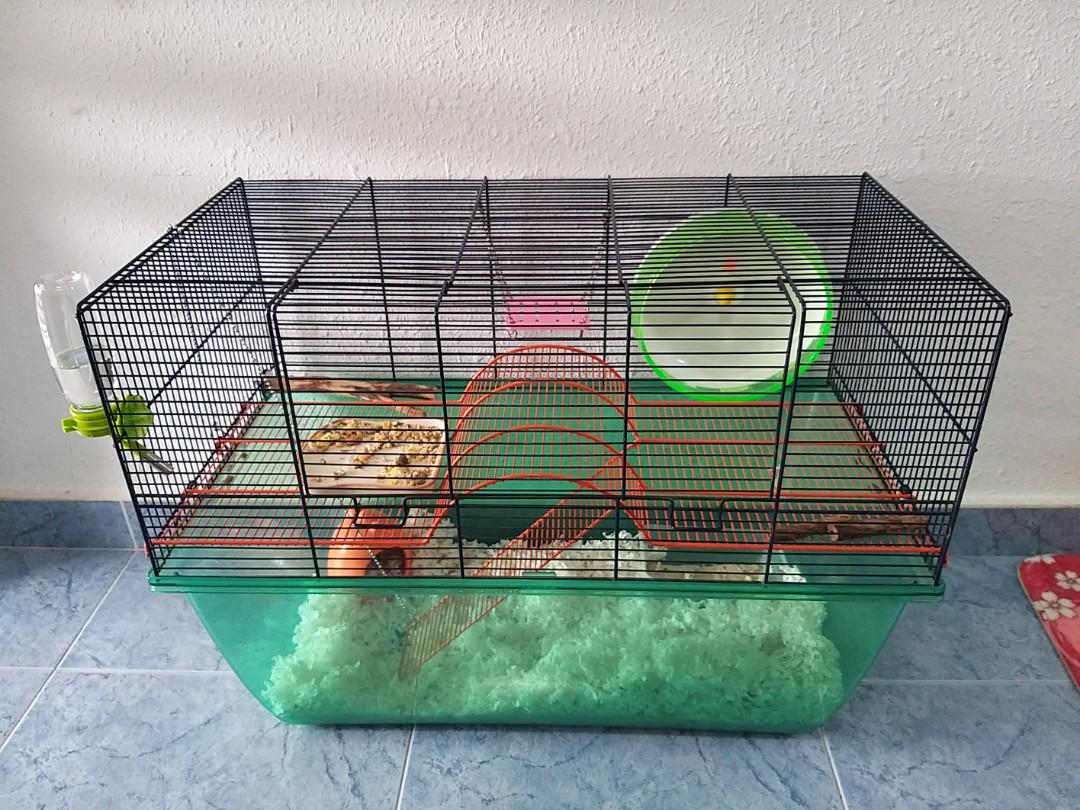 Savic XL Cage, Pet Supplies, & Other Pet Accessories on Carousell