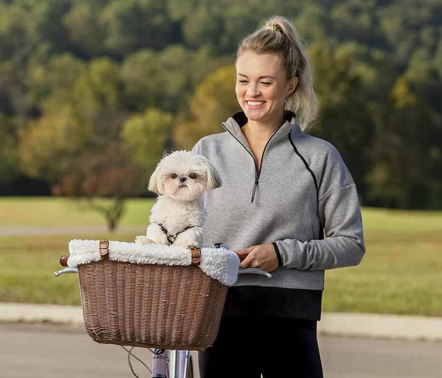 wicker dog bike basket