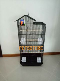 (Category: ) located in . Submitted by petsstore (Listing ID 1058306194, Image 1). Description: .
