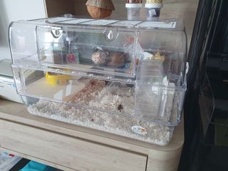 (Category: ) located in . Submitted by vanessatsh (Listing ID 1058205521, Image 1). Description: .