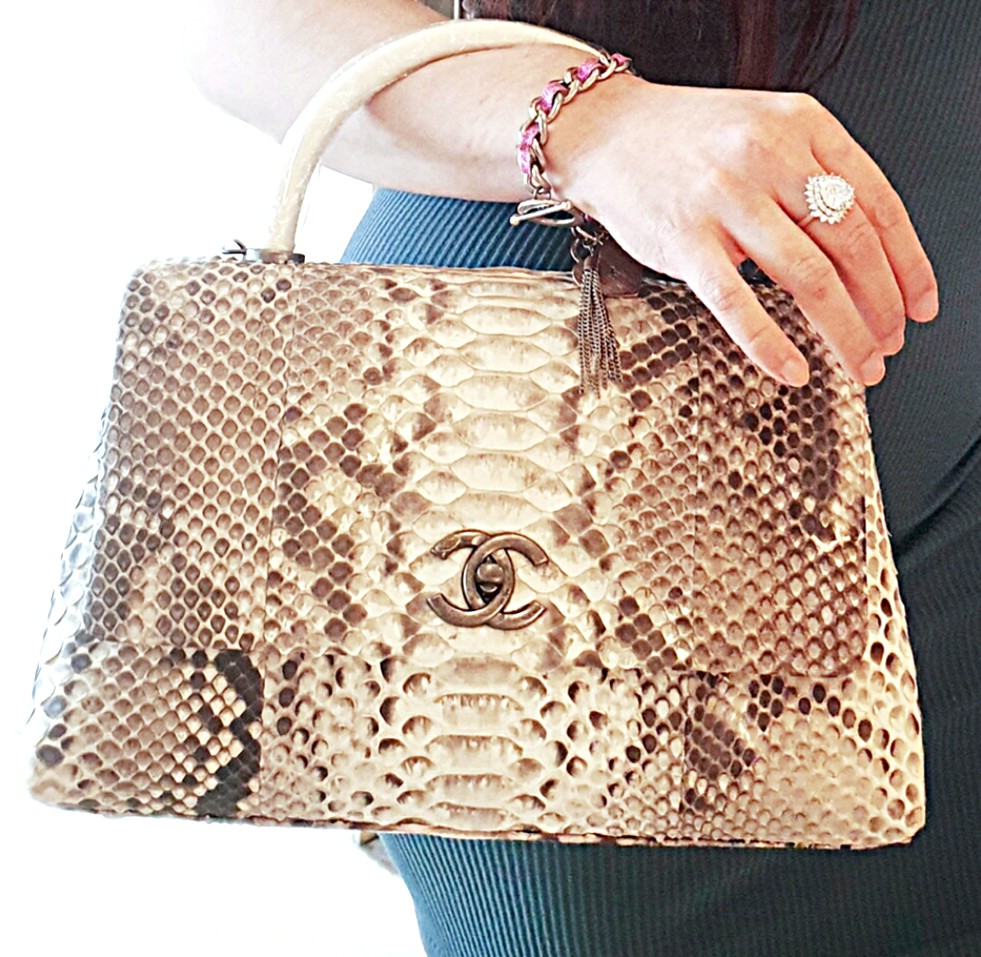 Chanel Exotic Bag, Luxury, Bags & Wallets on Carousell