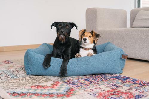 fantail dog bed
