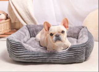 （分類：）位於 。 由 js__pets 提交（商品編號 1058279487，圖片 1）。簡介： 。