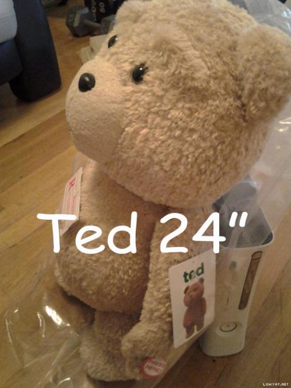 Ted teddy hot sale bear 24 inch