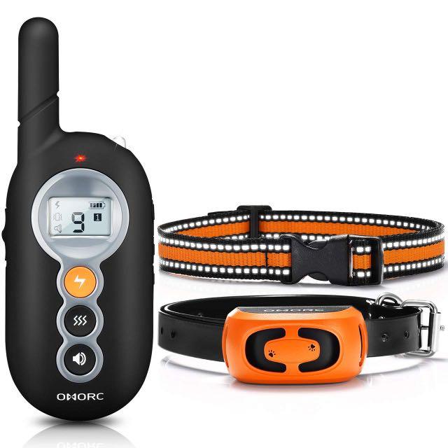 Shock collar with base station