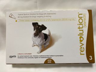 (Category: ) located in . Submitted by az_pets (Listing ID 1058252774, Image 1). Description: .
