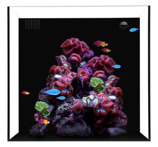 (Category: ) located in . Submitted by aquamaniacs (Listing ID 1058261967, Image 1). Description: .