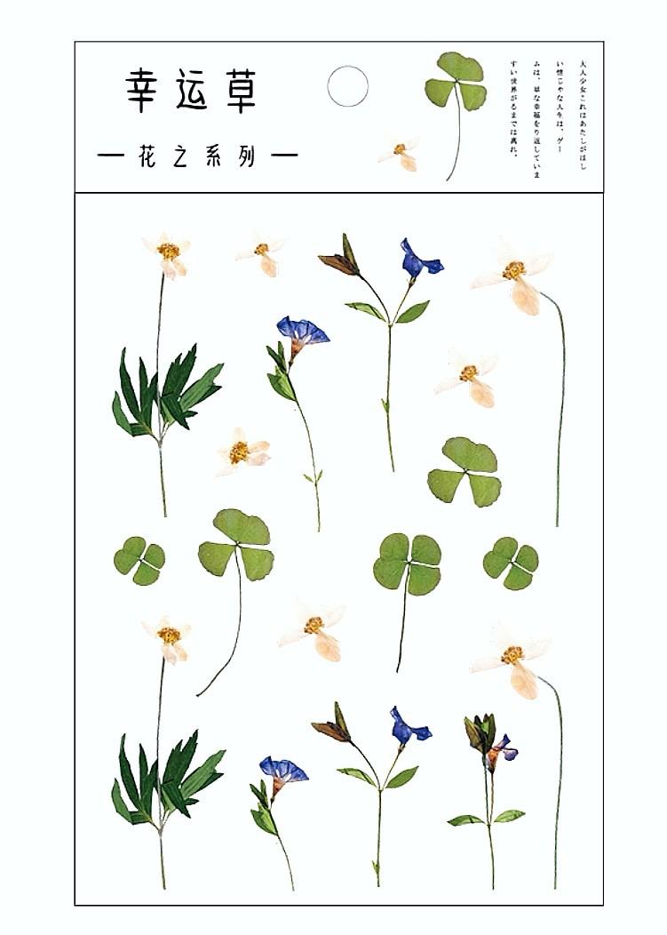 三張包郵貼紙花朵玫瑰棉花滿天星毋忘我幸運草尤加利葉薰衣草櫻花手帳貼紙筆記簿紀念冊日記少女pet 手帳貼紙小圖案