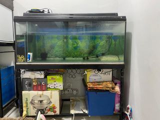 (Category: ) located in . Submitted by netfarra (Listing ID 1058358741, Image 1). Description: .