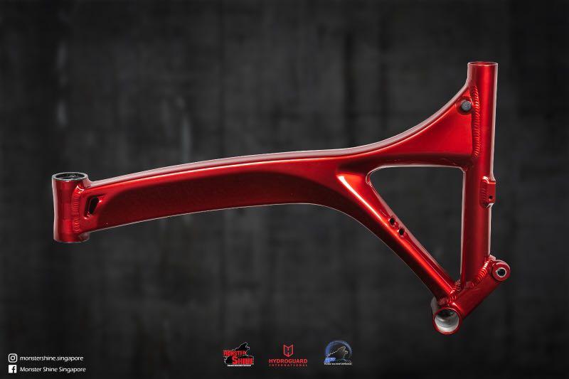 Bicycle frame spray paint foldie birdy